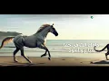 Rashed Al Majed - Sebaa We Esoud | Official Music Video 2026 | راشد الماجد - سباع و أسود