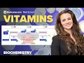 Biochemistry Chapter 12 Vitamins A D E K and B Step 1 Rapid Review