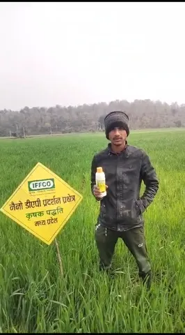 गेहूं के लिए कौन सी खाद उपयोगी,सिवनी के युवा किसान से सुनें | वनइंडिया हिंदी
