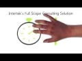 Intertek s Full Scope Consulting Solutions