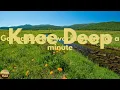 Zac Brown Band - Knee Deep (feat. Jimmy Buffett) (Lyrics)