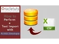 How To Perform A Text Import With Developer