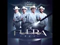 Si fuera facil - Grupo Marca registrada