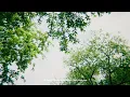 [ 1hour ] J.S. Bach: Goldberg Variations, BWV 988: Aria