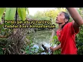 Download Lagu Mancing Emosi!! bisa naik d4r4h kalau kelamaan mancing di tempat ini