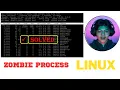 Understanding Zombie Processes on RHEL How to kill zombie process in linux without Reboot
