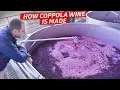 How One of California s Biggest Wineries Produces Over 12 Million Bottles per Year Dan Does