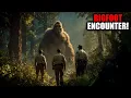Download Lagu Bigfoot Emerges From the Darkness — Caught on Camera