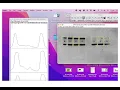 How to Quantify Western Blots Using ImageJ Step by Step Densitometry Tutorial for Beginners