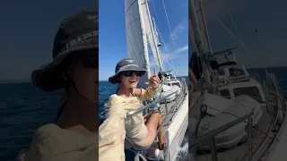 Happy International Womens Day 🙋‍♀️ #sailing #internationalwomensday #shorts