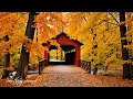 Autumn Serenity 🍁 Calm Your Mind in Nature with Relaxing Piano Music