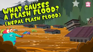 Dangerous Flash Flood | What Causes a Flash Flood? | Nepal Flood Disaster | The Dr. Binocs Show