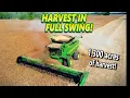 Download Lagu Soybean Harvest 2025 with AMAZING John Deere S760 Combine