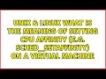 What is the meaning of setting cpu affinity e g SCHED - SETAFFINITY on a virtual machine