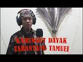 Download Lagu KARUNGUT DAYAK - TARANTANG TAMUEI