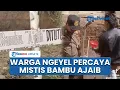 Download Lagu Bongkar Bambu Ajaib Cianjur, Pembuat Bilang Biasa Saja tapi Warga Bersikeras Mistis