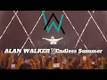 Download Lagu ALAN WALKER - Endless Summer - Live Concert