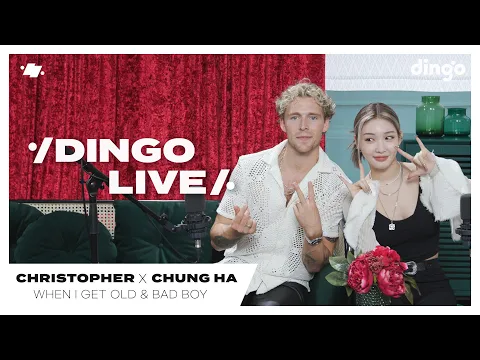 Dingo Music