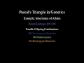 How is pascals triangle used in genetics Created with Nodsgy