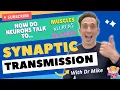 Synaptic Transmission How Neurons Communicate
