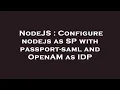 NodeJS Configure nodejs as SP with passport-saml and OpenAM as IDP