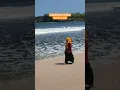 Lagu MENIKMATI OMBAK ..⁉️DI PANTAI KLAYAR #shorts #ombak  #pantai