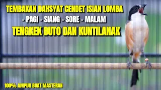 masteran burung cendet gacor full tembakan tengkek buto dan kuntilanak