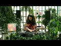 Download Lagu DJ BELLI | NOIRCUT ORANGERY 006