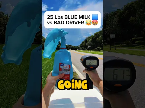 Throwing BLUE MILK 🟦🥛 at FELONY SPEEDER in School Zone 😂🤬