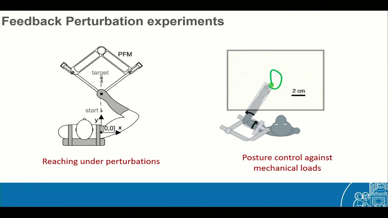 HBP Hackathon on cerebellum modeling - Morning Talks - 15 January 2020