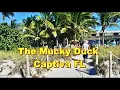 Seafood Delights and Sunset Views at Mucky Duck