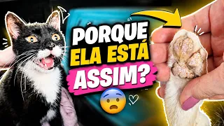 A FÁTIMA BATIMA QUASE TEVE UM PIRIPAQUE 😰