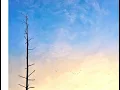PAINT -The Paper Kites (Lyrics video)