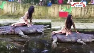 video unik raline shah tunggangi buaya raksasa