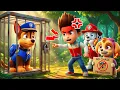 Lagu ¡Ay, no! ¿CHASE está en la cárcel? ¿Qué pasó? | PAw PatRol en Español | Rainbow 3