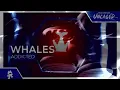 Download Lagu Pixel Terror \u0026 Whales - Addicted of Backfires [SpeedArcade Mashup]