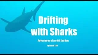 Drifting with Sharks.  Adventures of an Old Seadog, ep136