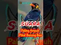 Download Lagu SUARA PIKAT BURUNG BEO|Ampuh sudah Terbukti❗
