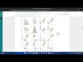 Iris Dataset prediction using Decision Tree Algorithm task 2