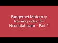Badgernet Maternity training for Neonatal team UHS - Part 1