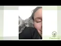 Zorro s Happy Tail