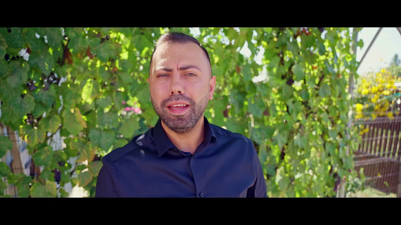 Romica Ciocarlan - Cu palme batatorite 2021