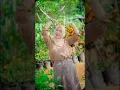 Download Lagu unyu unyu VOC Nunu unyil
