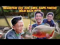 Download Lagu PERGI KE DESA BINJAI BARU MANCING BAWAL GIGI TAJAM SAMPAI PUTUS-PUTUS