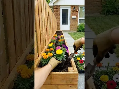 Overgrown Yard Transformation🌿➡️🏡 | Satisfying Front Yard Makeover