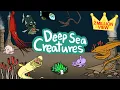 Deep sea animals What kind of fish lives under the deep sea Kids Draw