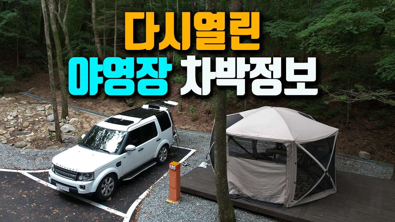 🏕️ 다시 열린 7성급 숲속야영장 차박 가능한 데크 정보, 슬기로운 휴양림 차박 캠핑, 멤버십 이벤트, camping 썸네일