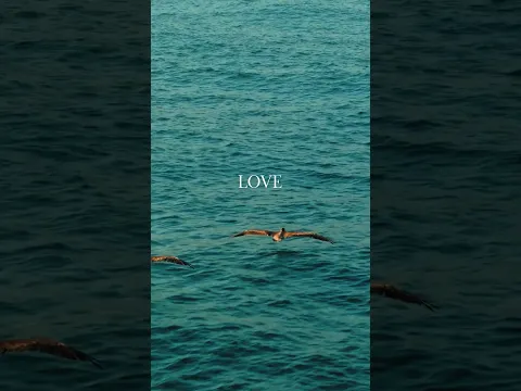 Meet me by the ocean, let’s head out to the sea 🌊🎶
