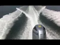 Bertram 25 with 250hp Honda