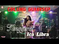 Download Lagu TONGGERET ICA LIBRA X CALUNG GUMASEP ( Sindang Panon Banjaran )